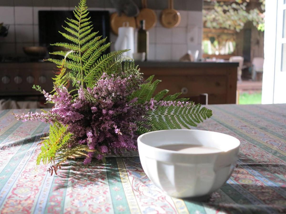 Les Jardins D'Atyoula Losse Eksteriør billede